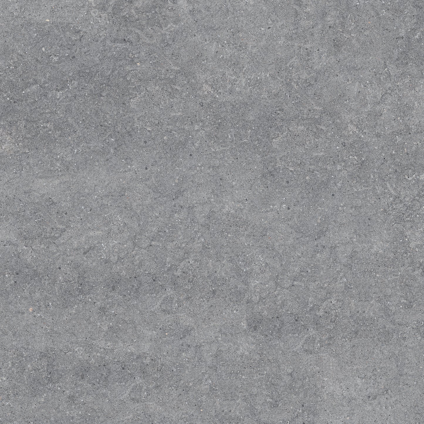New Pietra Grey porcelain tile