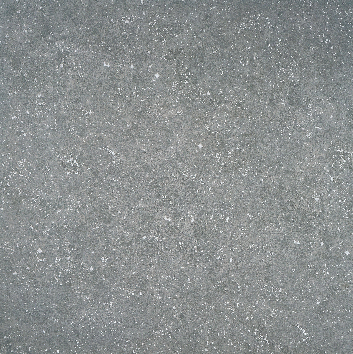 Bluestone Light porcelain tile