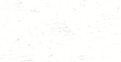 Carrara porcelain tile