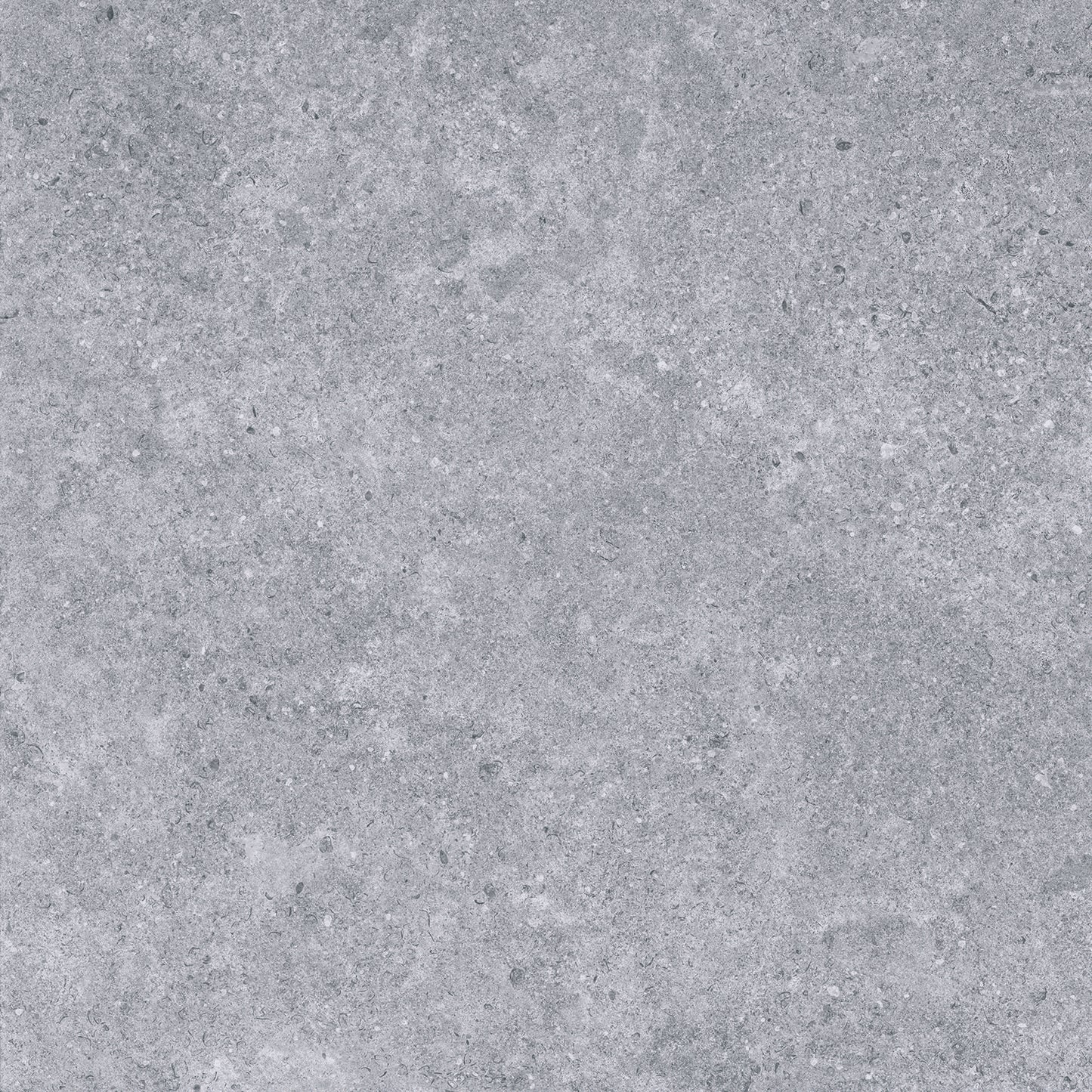 Charleston Argento porcelain tile