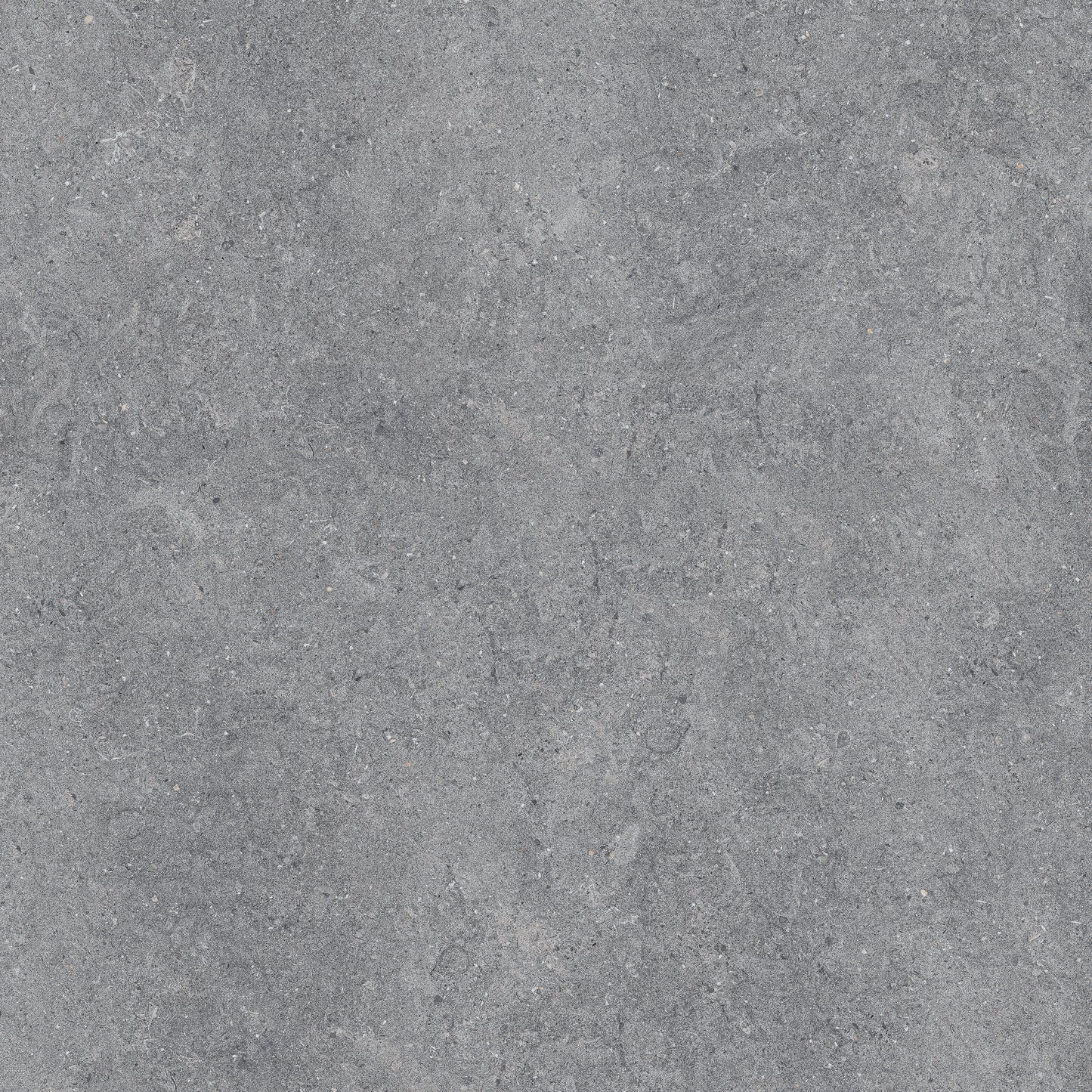 New Pietra Grey porcelain tile
