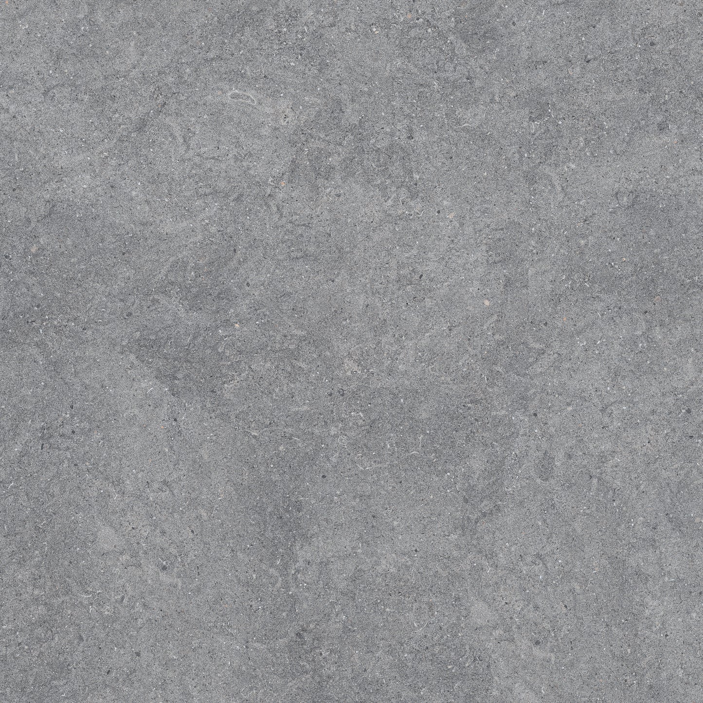 New Pietra Grey porcelain tile