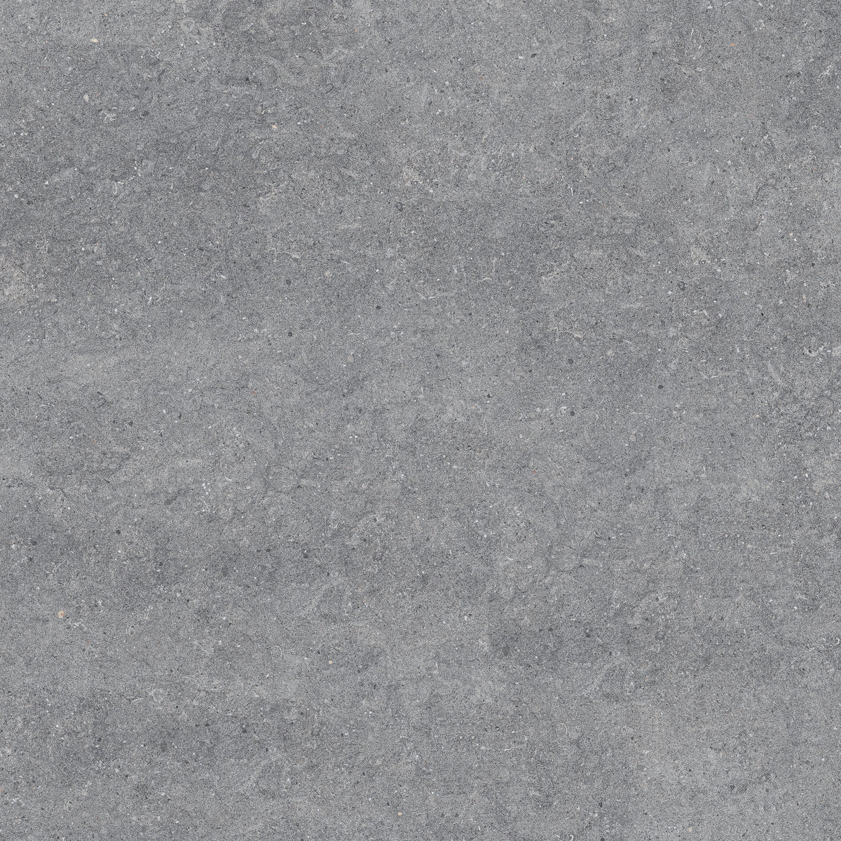 New Pietra Grey porcelain tile