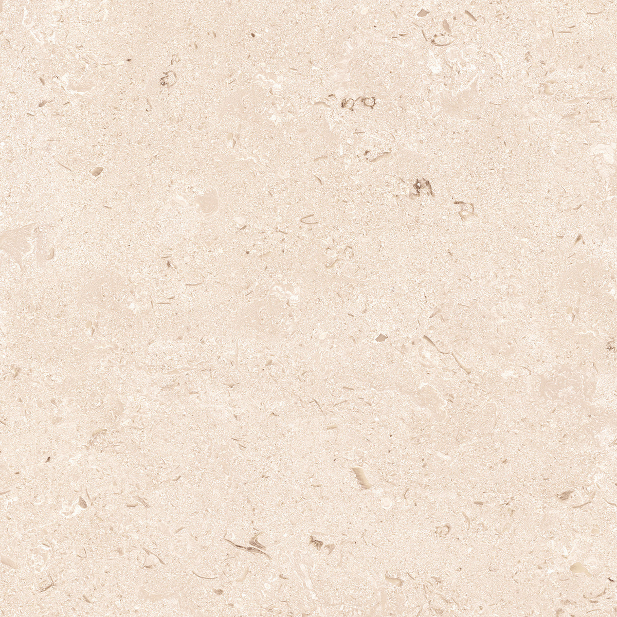 New Shellstone porcelain tile