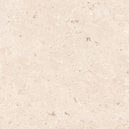 New Shellstone porcelain tile