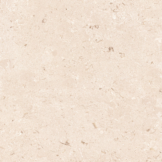 New Shellstone porcelain tile