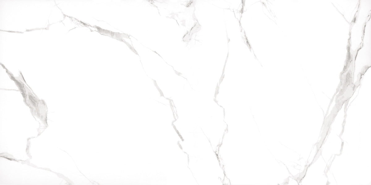 Statuary White porcelain tile