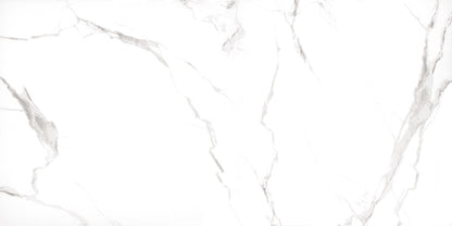 Statuary White porcelain tile