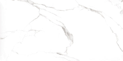Statuary White porcelain tile