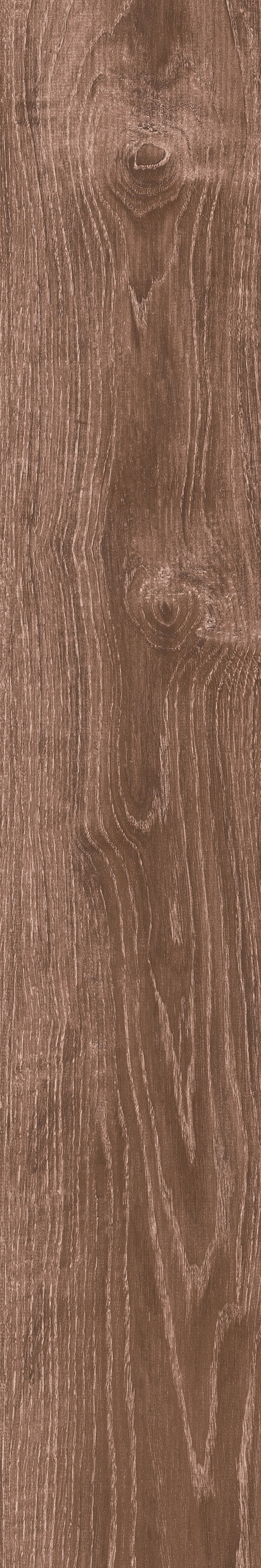 Trendwood Mocha porcelain tile