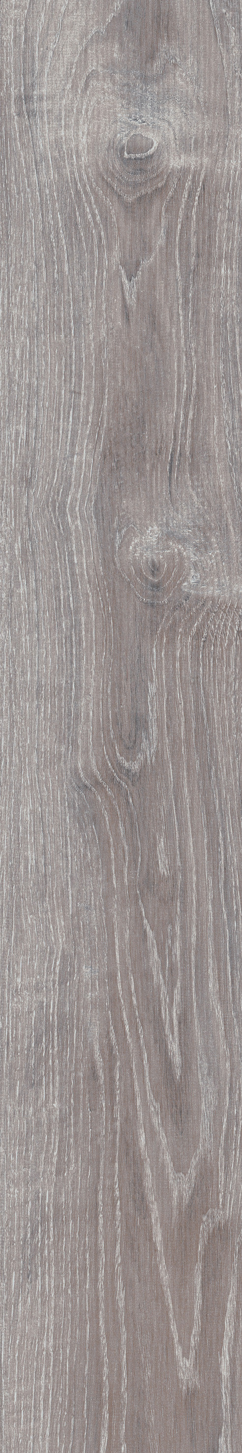 Trendwood Taupe porcelain tile