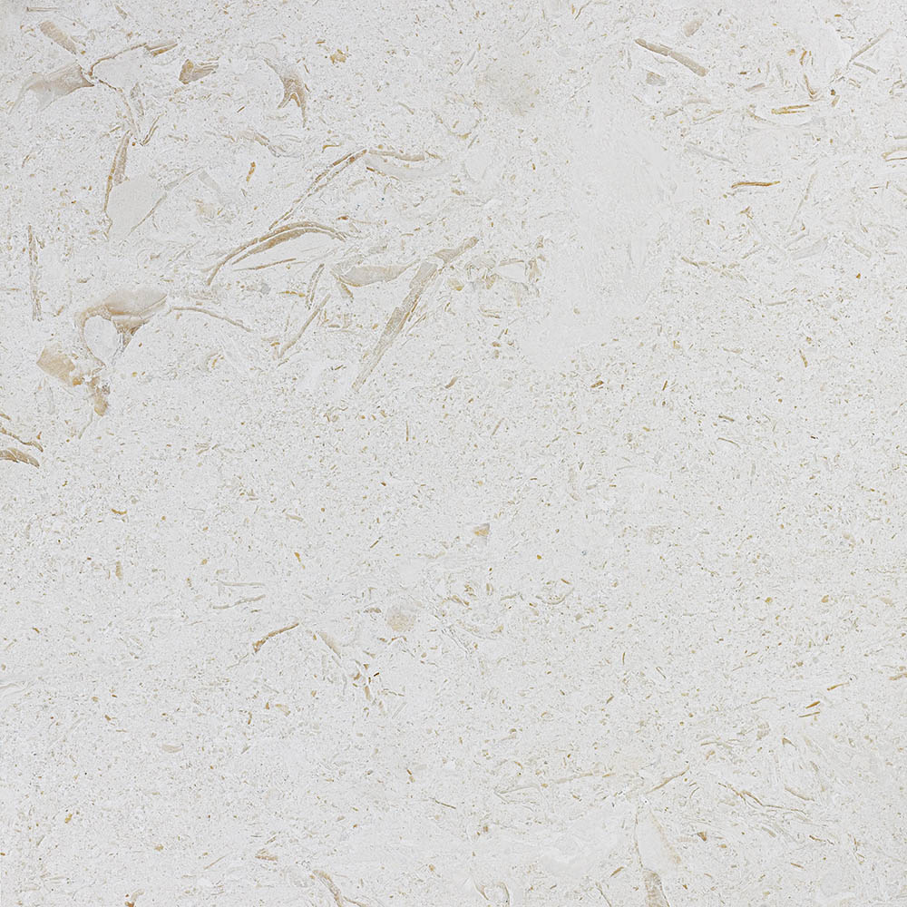 Seashell natural stone