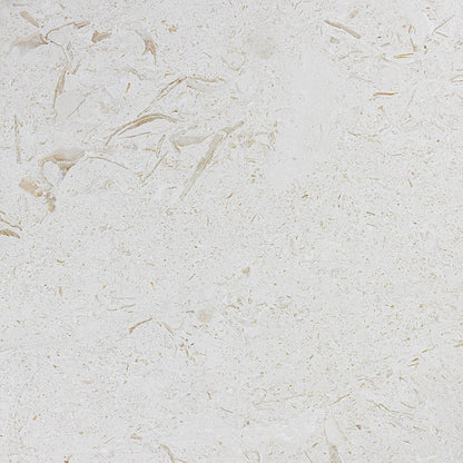 Seashell natural stone