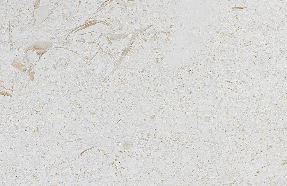 Seashell natural stone