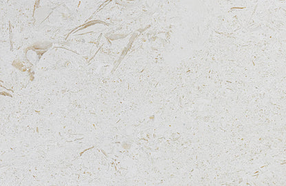 Seashell natural stone